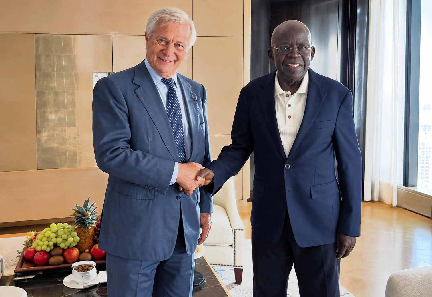 Tinubu Secures Fresh Bolloré Investment Push for Nigeria’s Creative, Digital Economy
