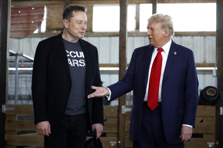 Real Reason Donald Trump Appointed Elon Musk To Lead US Govt Efficiency Department